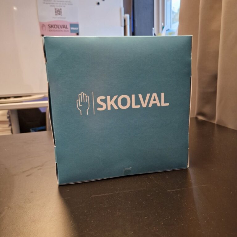 Europaskolan Rogges skolval gav eleverna ökad förståelse för demokrati